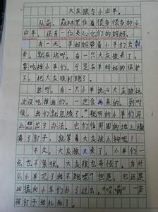 我终于的作文600字 第二次的作文