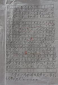 老鹰捉小鸡作文150字 老鹰捉小鸡作文300字