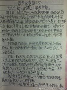 以散步为题的中考作文 有关散步的作文