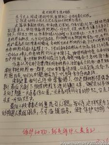 斑羚飞渡读后感600字 斑羚飞渡读后感600字（4篇）