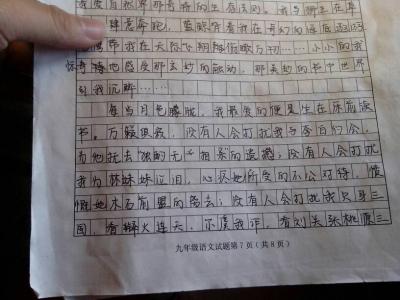 有关名人的作文600字 有关名人的作文