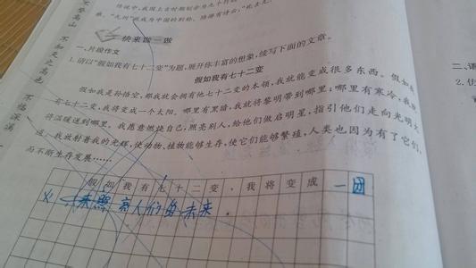 关于法律的800字作文 关于法律的作文