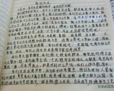 什么的自述作文300字 什么的自述作文