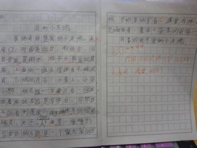 作文我的小天地500字 作文我的小天地