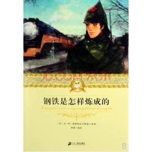 钢铁是怎样炼成的评价 从文学角度如何评价《钢铁是怎样炼成的》？