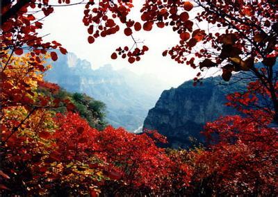 香山红叶 香山红叶―――香山游记