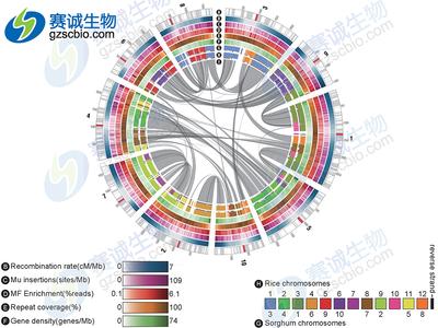 自学生物信息学 如何自学生物信息学？