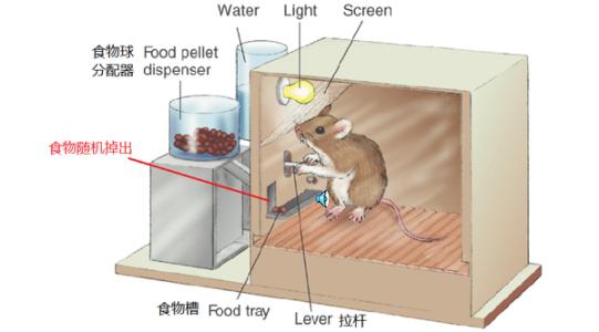 男性射精生理学机制 总是控制不住想刷手机，刷朋友圈的生理学机制是什么？该怎么办