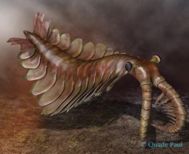 亿年前奇特古生物化石 世界上存在过哪些奇特的古生物？