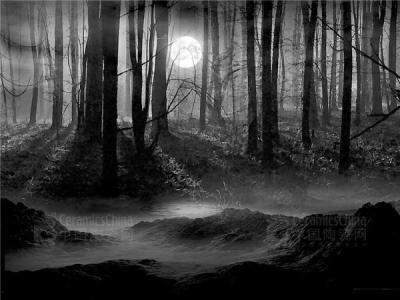 三体黑暗森林法则 《三体》中的黑暗森林法则成立吗？为什么？