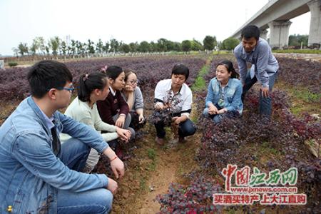 大学生村官创业项目 大学生村官创业心得