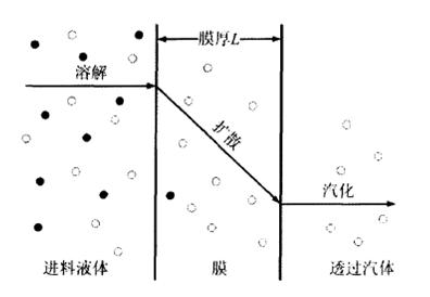 溶解扩散机理 溶解扩散模型 溶解扩散模型-百度名片，溶解扩散模型-机理