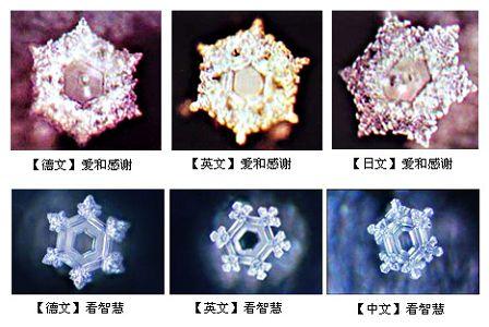 生命的重建读后感 水知道答案的读后感