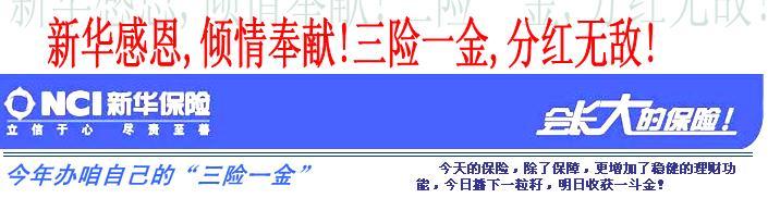 新华保险吉星高照 新华保险吉星高照 新华保险吉星高照-产品介绍，新华保险吉星高照