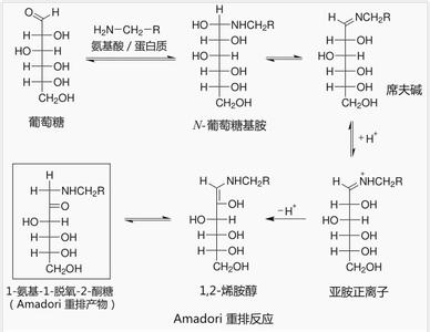 amadori重排产物 Amadori重排