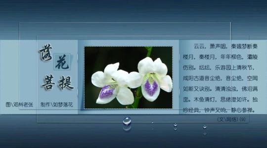 落花无言人淡如菊 落花无言 落花无言-词语解释，落花无言-相关条目