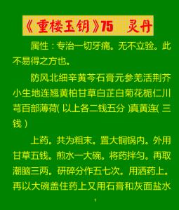 《重楼玉钥》 《重楼玉钥》-简介，《重楼玉钥》-内容