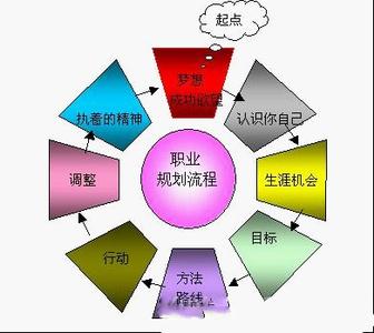 职业生涯规划基本理论 施泰因豪斯 施泰因豪斯-基本内容，施泰因豪斯-职业生涯