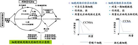 黄烷醇 黄烷醇-简介，黄烷醇-结构和性质