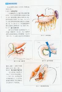 胃癌 胃癌-概述，胃癌-发病现状