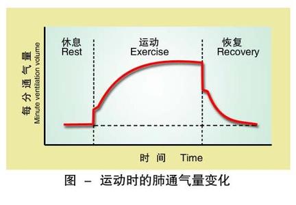 血酮正常值及临床意义 肺通气量 肺通气量-正常值，肺通气量-临床意义