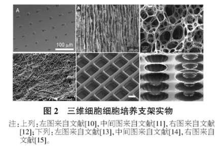 动植物细胞大量培养 动植物细胞大量培养-正文，动植物细胞大量培