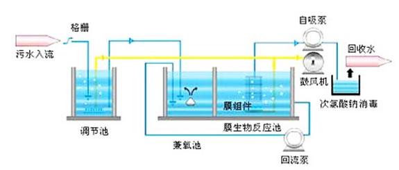 生物反应器 生物反应器-基本介绍，生物反应器-内容概述