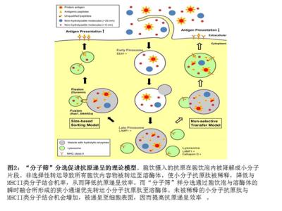 数学各个研究方向简介 段树民 段树民-简介，段树民-研究方向