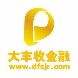 金融 高管团队 简介 大丰收金融 大丰收金融-公司介绍，大丰收金融-团队简介