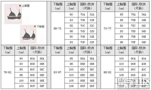 服装尺码换算参照表 英国留学 女士内衣尺码换算参照表