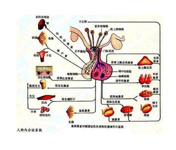 垂体功能紊乱 垂体功能紊乱-简介，垂体功能紊乱-症状起因