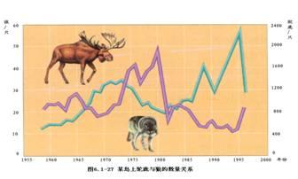 微观生态系统 生态系统理论 生态系统理论-概述，生态系统理论-微观系统