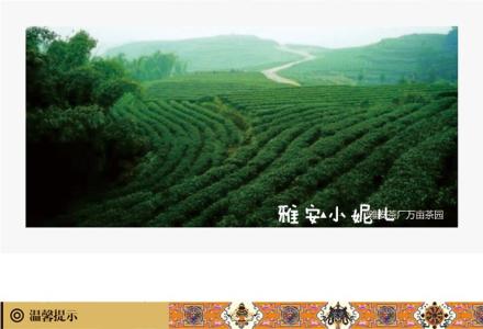 四川边茶 四川边茶-产地，四川边茶-南路边茶制茶工艺