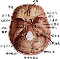 颅内高压的临床表现 颅内高压 颅内高压-病因，颅内高压-临床表现