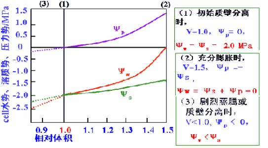 溶质势 溶质势-简介