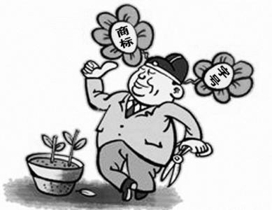 商标权的特征 商标权 商标权-概述,商标权-主要特征