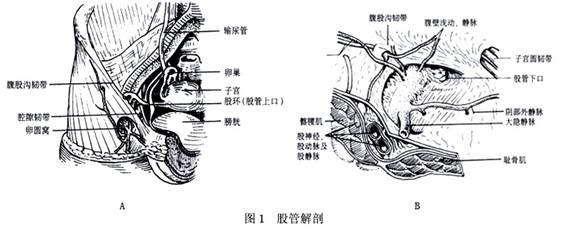 股疝症状 股疝 股疝-疾病病因，股疝-疾病症状