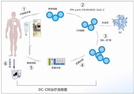 CIK CIK-简介，CIK-原理