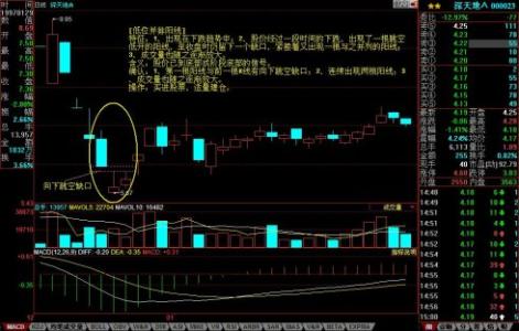 分析师简介 阳线 阳线-简介，阳线-阳线分析