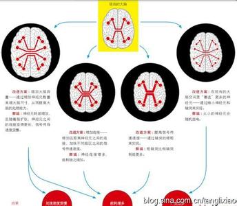 极限进化空间 极限进化空间-小说基本信息，极限进化空间-内容简