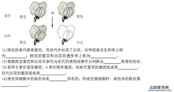 2015山东会考语文试题 山东日照初中生物会考模拟试题（含答案）