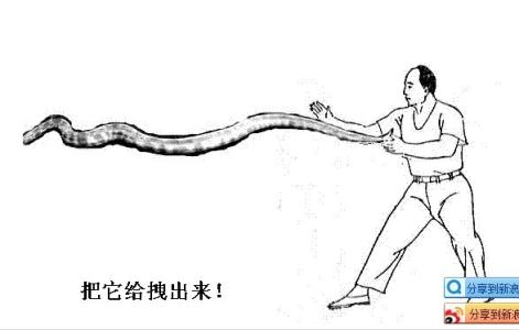 河南心意拳sina 心意拳 心意拳-心意拳，心意拳-正文