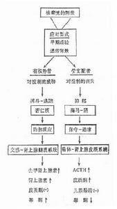 stress 应激反应 应激 应激-应激概念（STRESS），应激-应激原