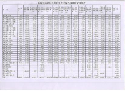 2017公共卫生工作计划 2015年公共卫生工作计划