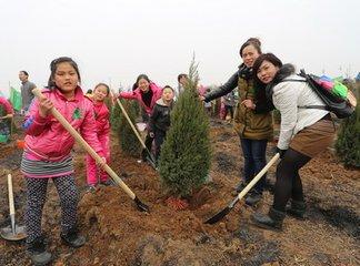 植树节手抄报图片大全 植树节为什么定在3月12日