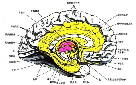 产业结构单一的弊端 学缘结构 学缘结构-涵义，学缘结构-弊端