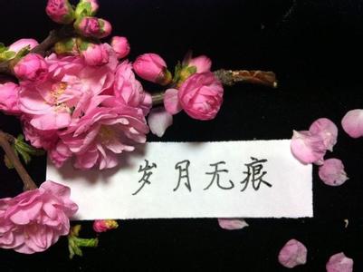 我的贴身校花人物简介 花错 花错-人物简介，花错-花错