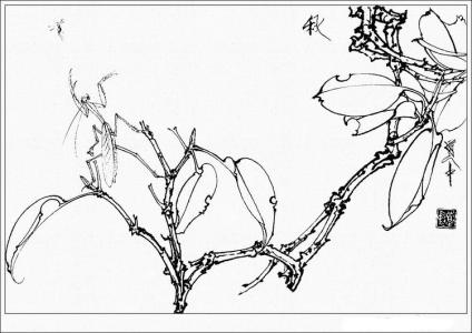 王道中工笔花卉白描 王道中工笔花卉白描图片欣赏