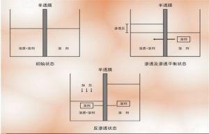 锅炉定义与分类 锅炉工作原理 锅炉工作原理-名词定义，锅炉工作原理-分类