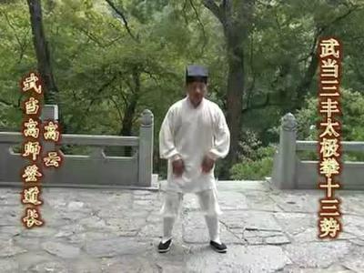 《张三丰太极拳》 《张三丰太极拳》-内容简介，《张三丰太极拳》